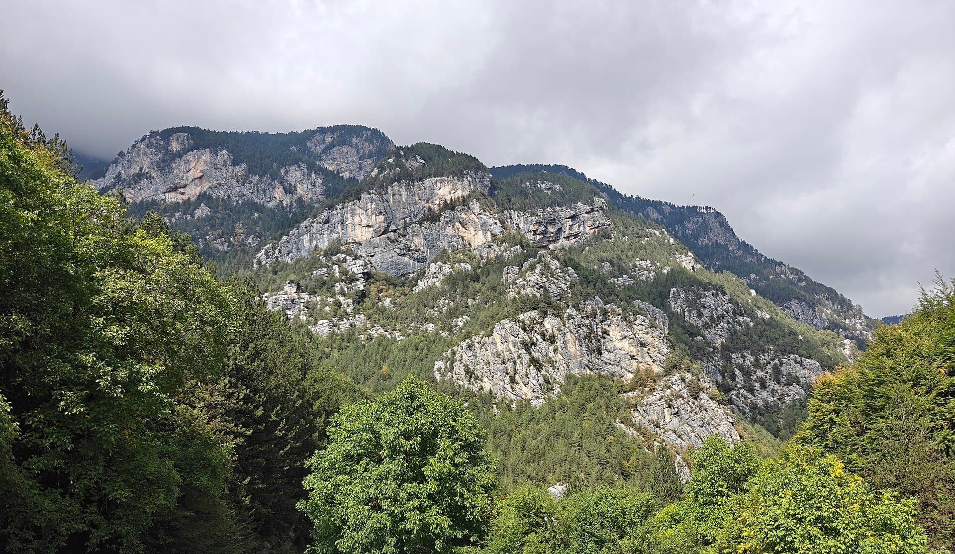 The peaks of Mount Olympus above the forests of Pieria